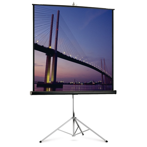 [ID 225 EMPLACEMENT B12] Ecran portable DA-LITE 152x203cm avec trépied